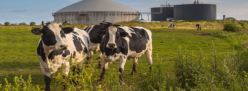 ad_biogas_chp_banner